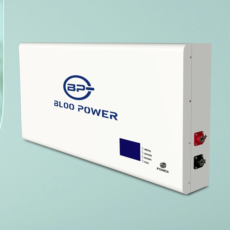 Bloopower 12V 12.8V 24V 36V 48V 60V 72V 50ah 100ah 120ah 150ah 200ah 15kwh 20 Kw 20kw 20 Kwh Li Ion Floor Stand Type for Inverter Storage Battery