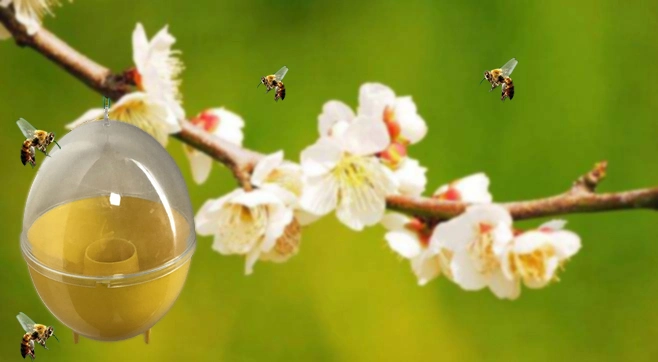 Bouteille suspendue en plastique Wasp Hornet miel abeille piège