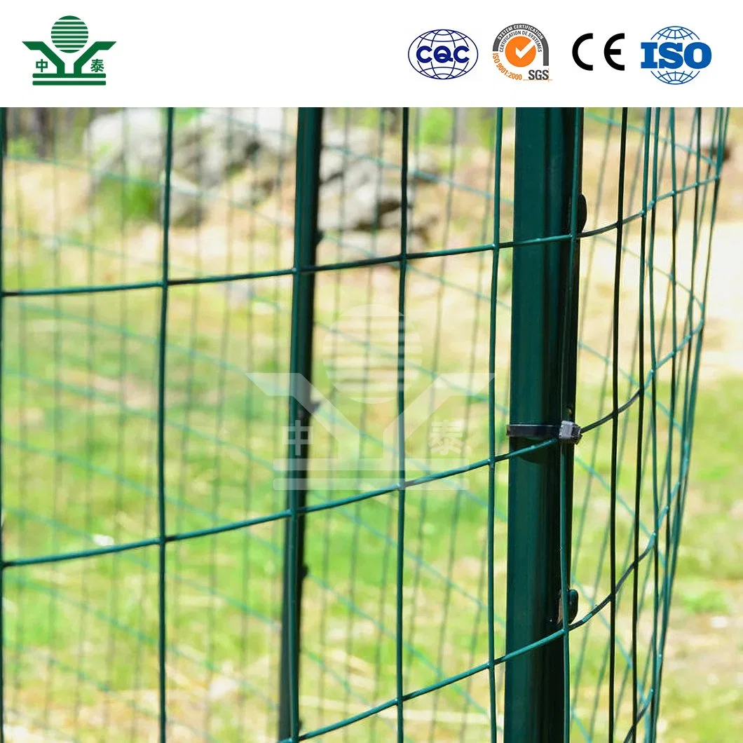 Zhongtai PVC Coated Welded Wire Mesh Rolls 6.4mm Mesh Size Plastic Coated Wire Mesh Rolls China Manufacturers Welded Wire Mesh Barriers