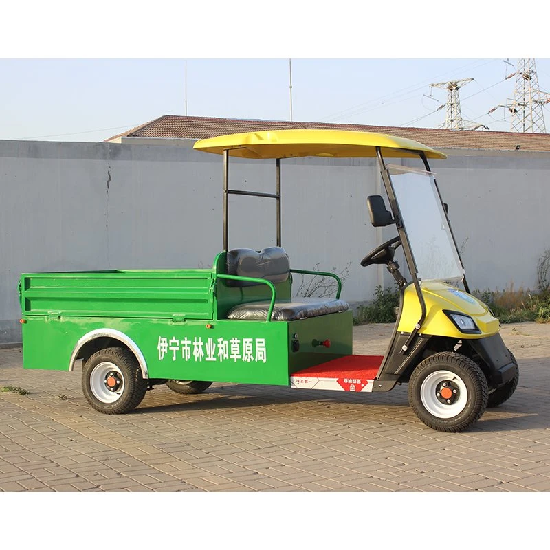 New Arrival Customized 2 Seats Mini Electric Golf Car with Cargo Bucket