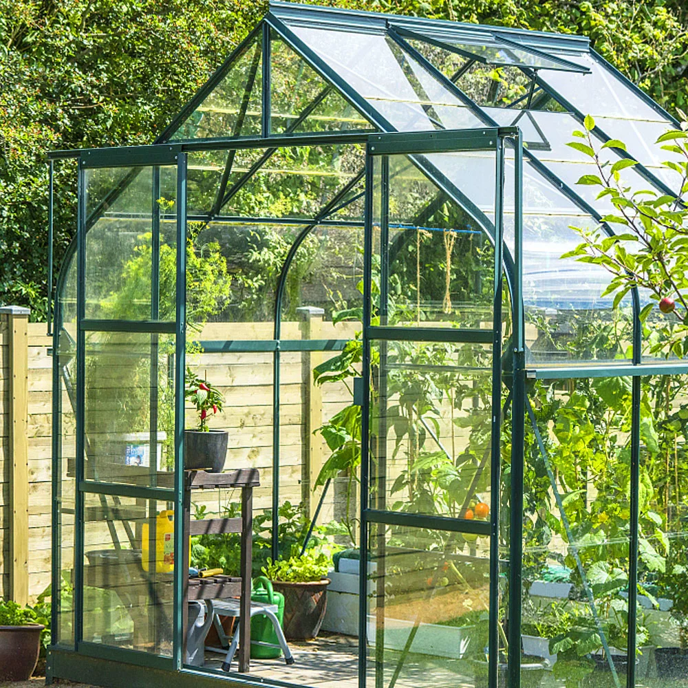 Plastic Film Glass Green House with Hydroponic/Aquaponics for Farm Agriculture Vegetables/Flowers/Tomato