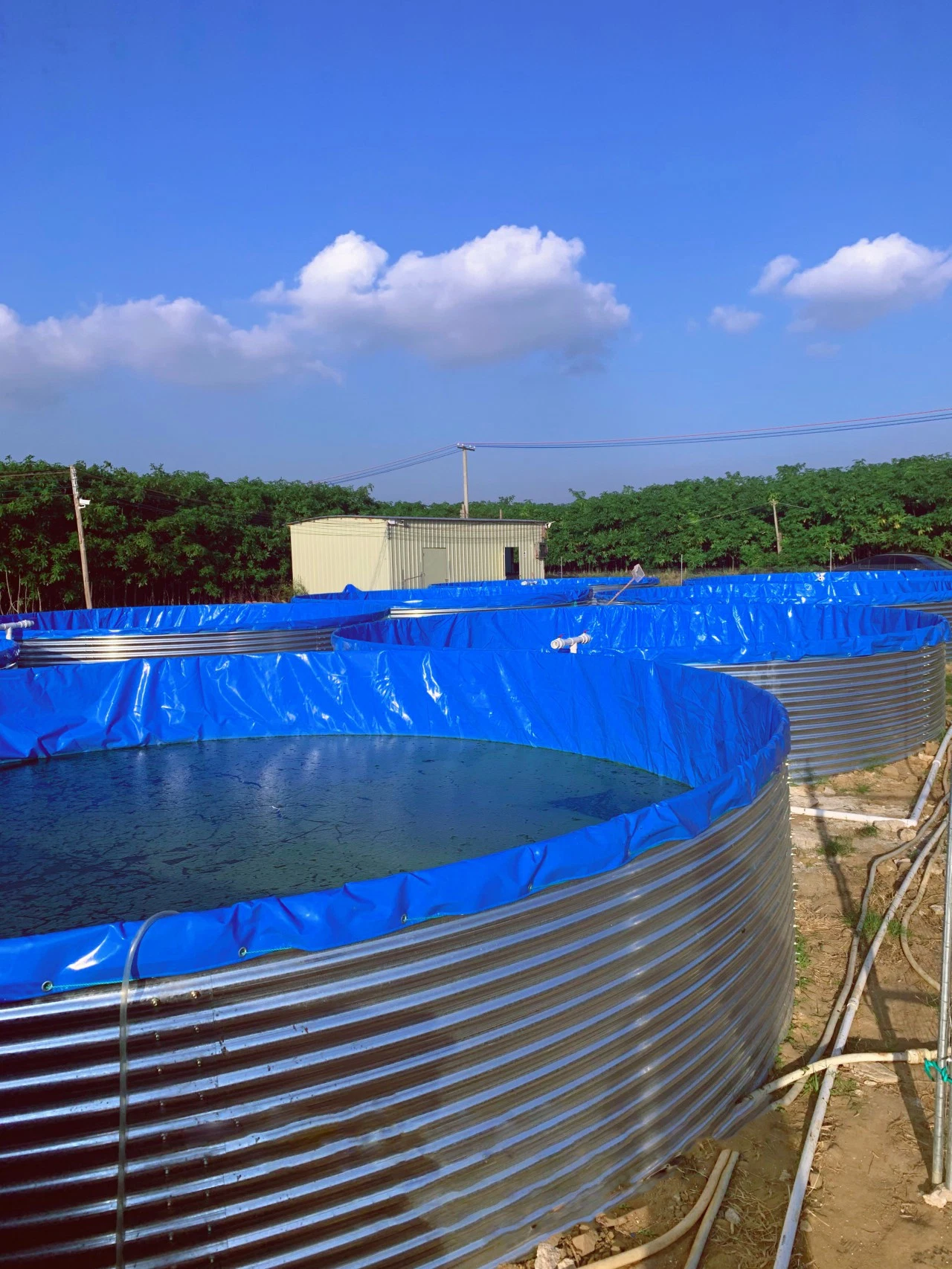 Galvanized Sheet Metal Ponds Mobile Round PVC Fish Breeding Tanks Factory