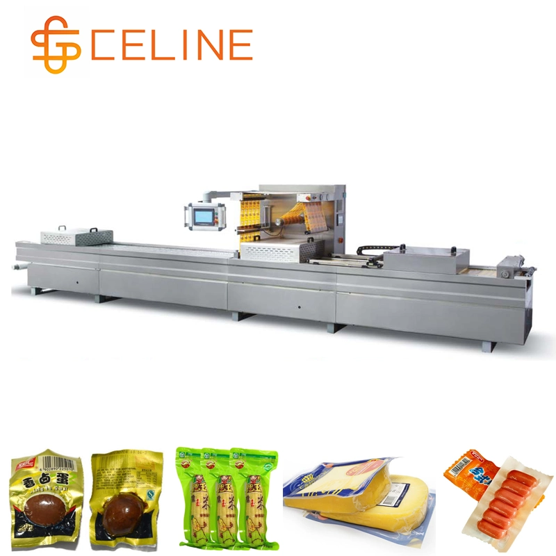 Fully Automatic Thermoforming Plastic Stretch Film Vacuum Packing Machine