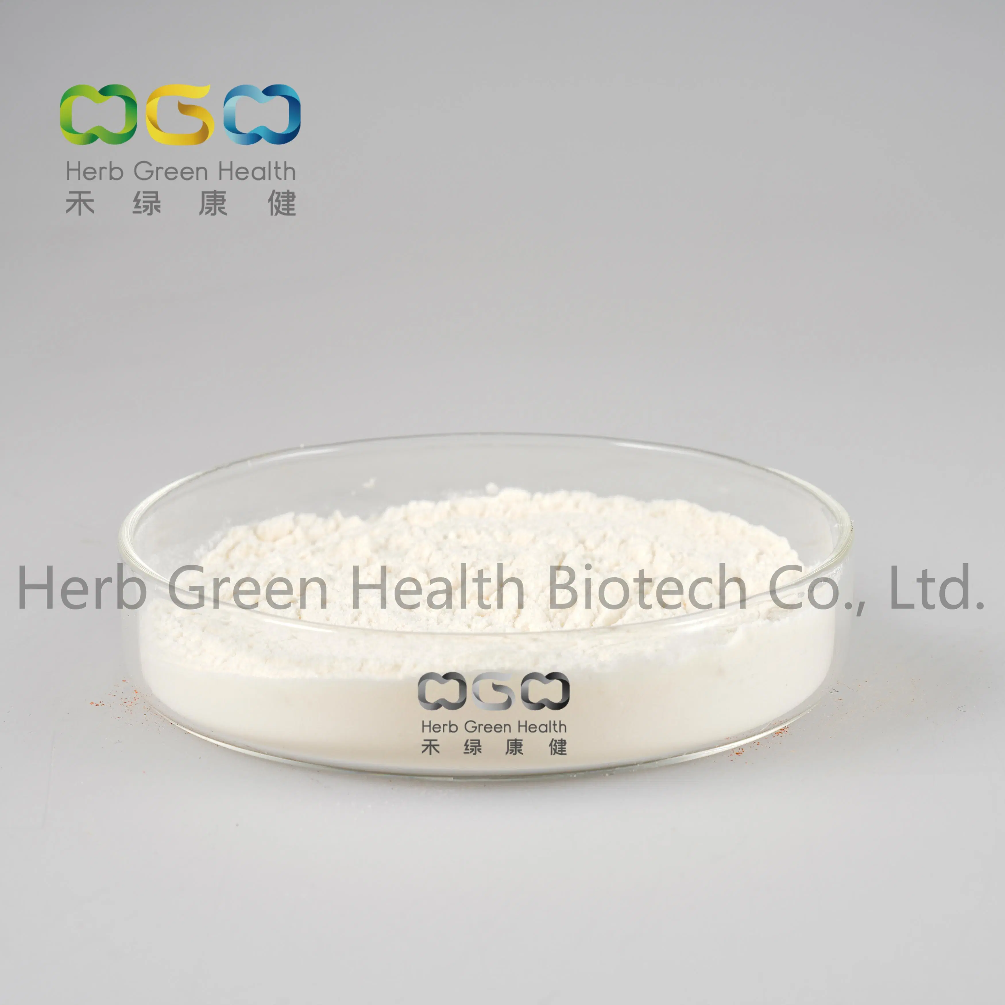 Pure Natural Hordeum Vulgare Freuit Wheat Germ Extract Spermidine >0.1% Powder