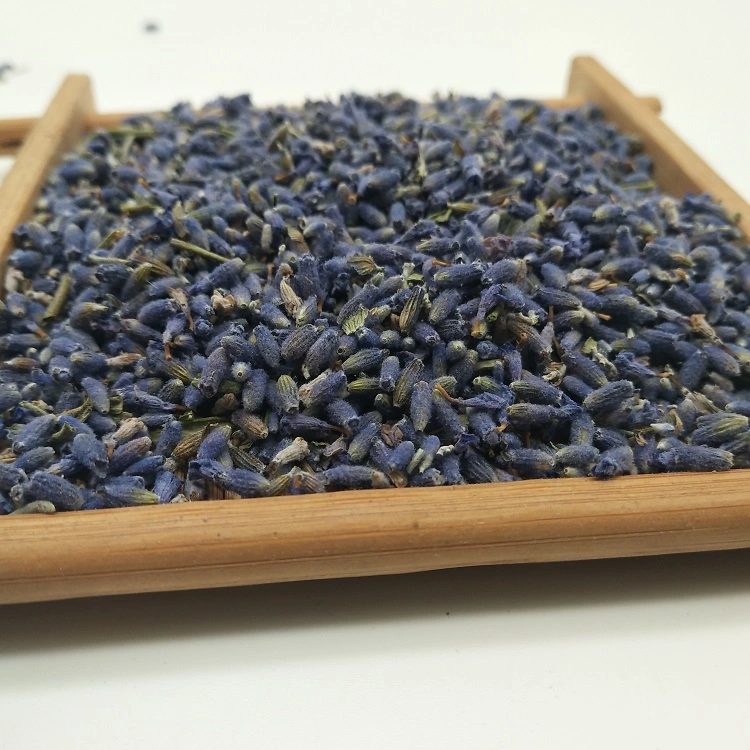 Xun Yi Cao New Premium Herbal Flower Tea Dried Lavender Buds