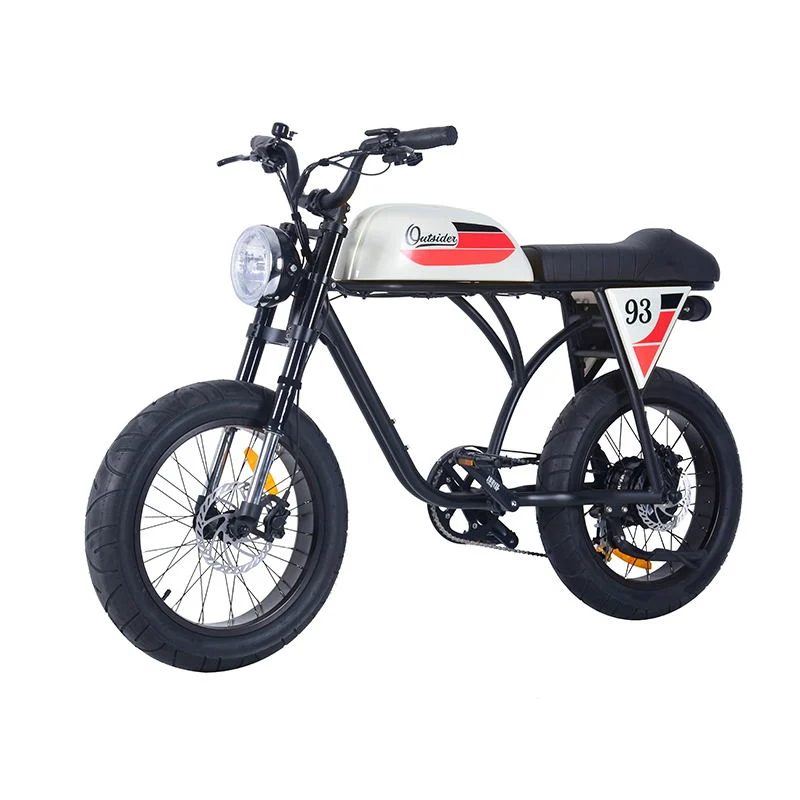 350watts CE / En15194 Electric Bicycle 20-4.0" Ebike 36V Lithium Battery Electric Bike