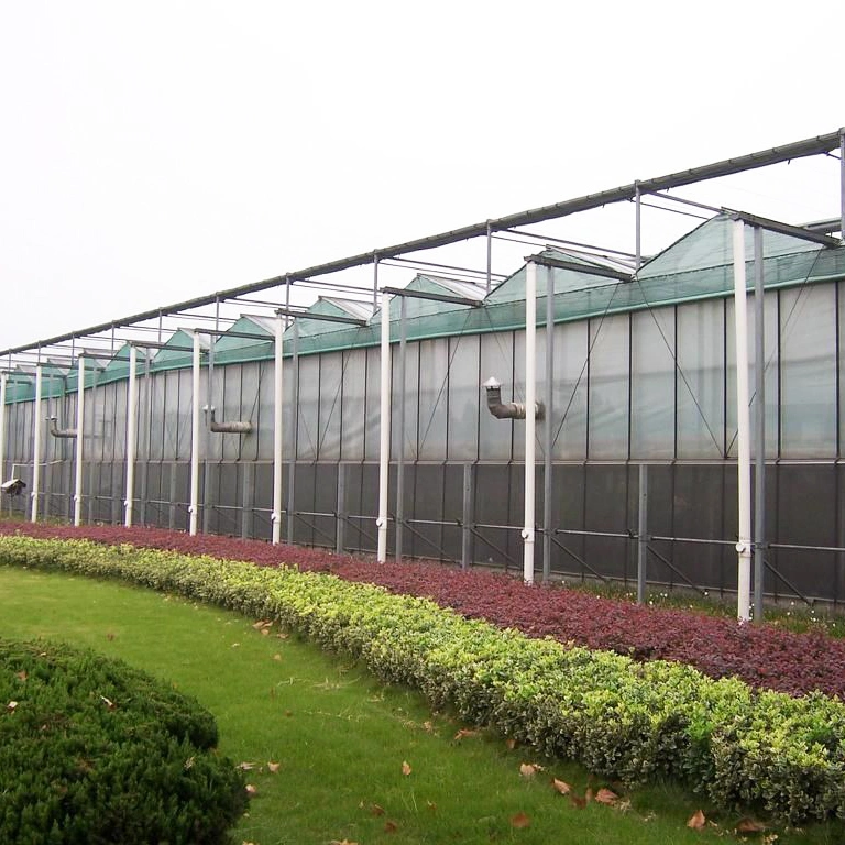 2023 Factory Supply Agricultural Polycarbonate Greenhouse with Nursery System