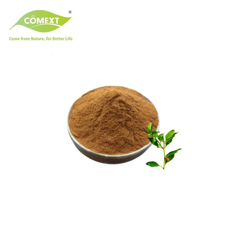 Comext Good Quality Pure Organic Natural Plant Extract Ashwagandha Root Extract 10: 1