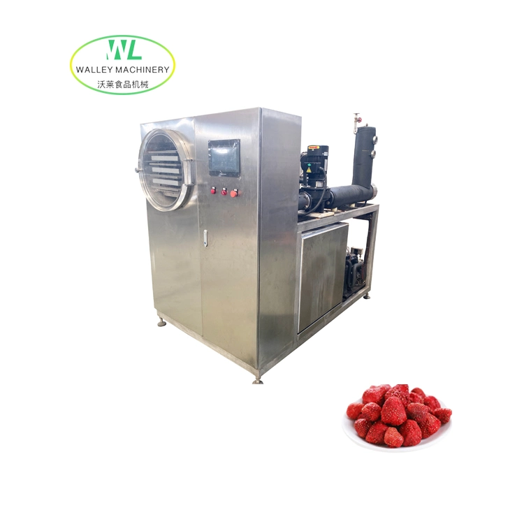 Factory Price Lyophilizer Lab Vacuum Freeze Dryer