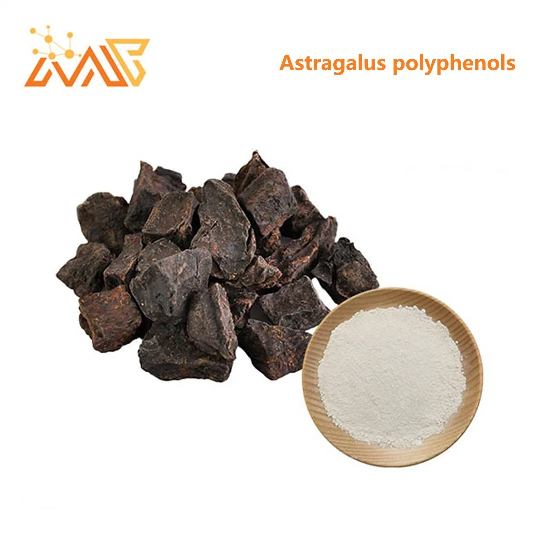 Polygonum multiflorum extrait d'alimentation d'Astragalus polyphénols 98 %