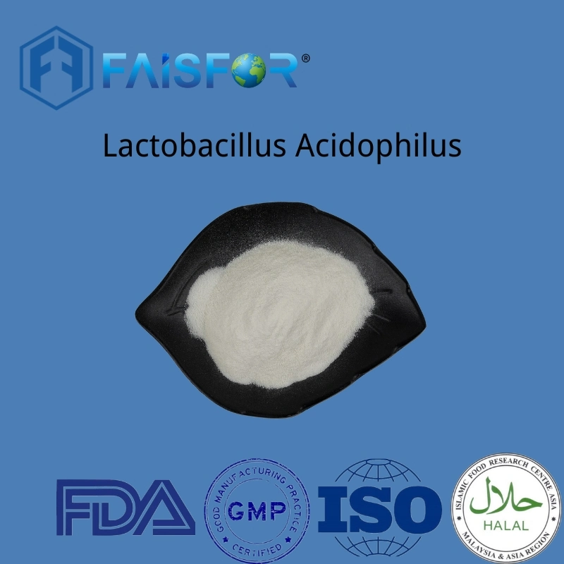 Pure High quality/High cost performance  Lactobacillus Acidophilus Powder for Health Supplement