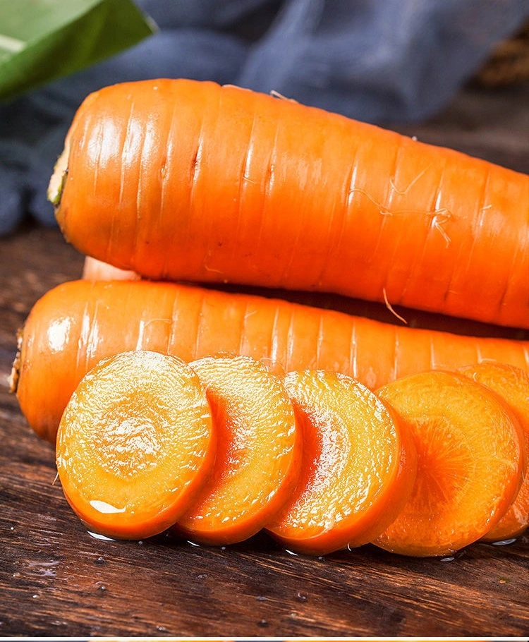 Premium Fresh Carrot Organic Carrots for Russian Market