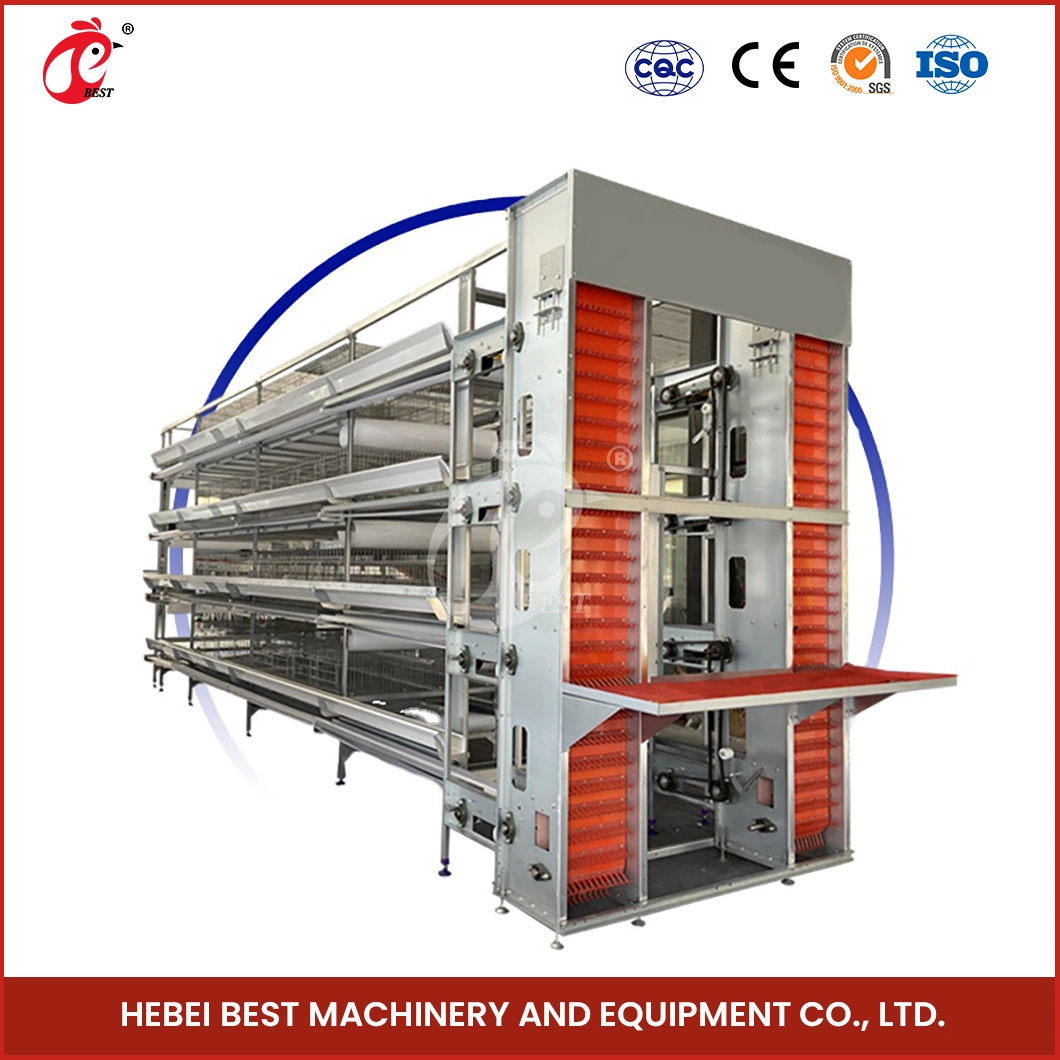 Bestchickencage H Type Layer Cage China Superior Construction Chicken Layer Coop Factory Custom Automatic Manure Removal System Designs Chicken Egg Layer Cages