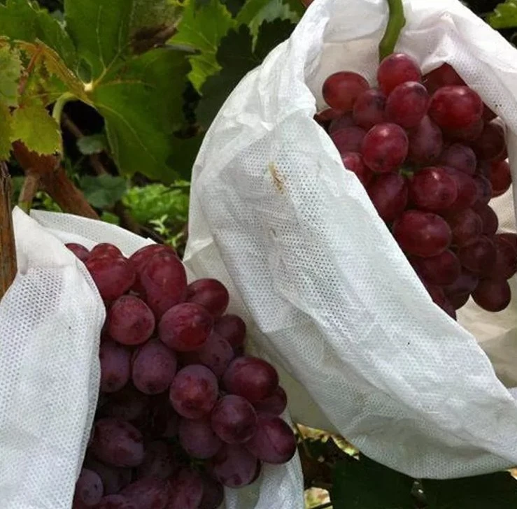 Suministros agrícolas de cine UV de gases de efecto invernadero vivero protegidas que cubren los materiales no tejidos