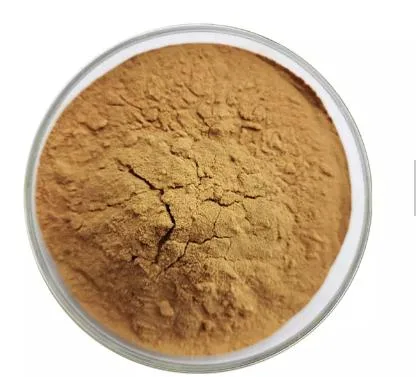 Enhance Immunity Plant Extract Ginkgo Biloba Extract Flavonoid Glycoside Powder