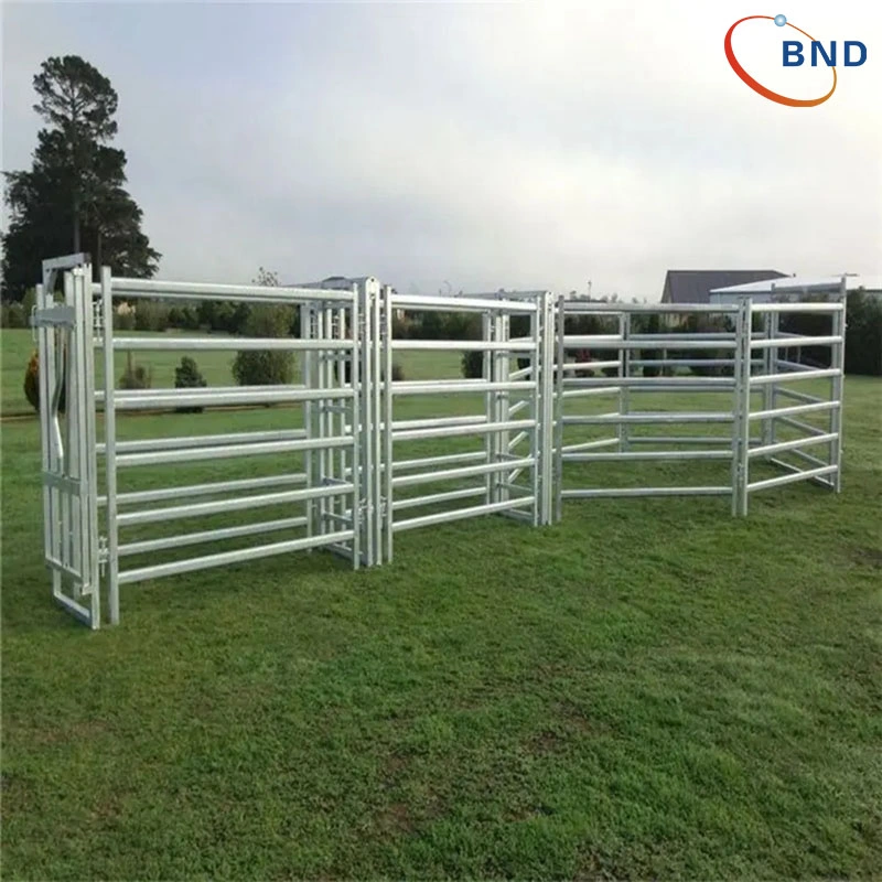 Hot - DIP Galvanized Hot - Selling Chinese Manufacturers of Cattle and Horse Stalls