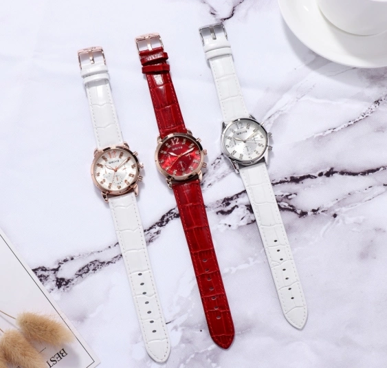 Factory Promotion Direct Sale Women Quartz Wrist Gift Watches (WY-1060)