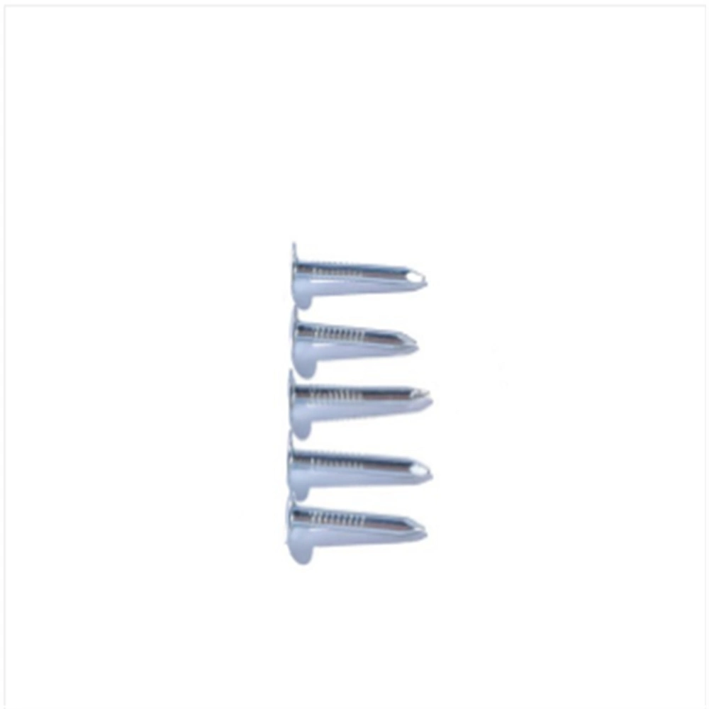 Galvanized/Boat Nail/Thread Nail/Linoleum Nail/Metal Roofing Nail