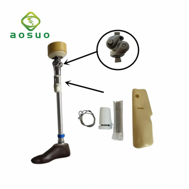 Factory Price Stainless Steel Prosthetic Knee Bearing Lock Knee Joint Prosthetic Leg