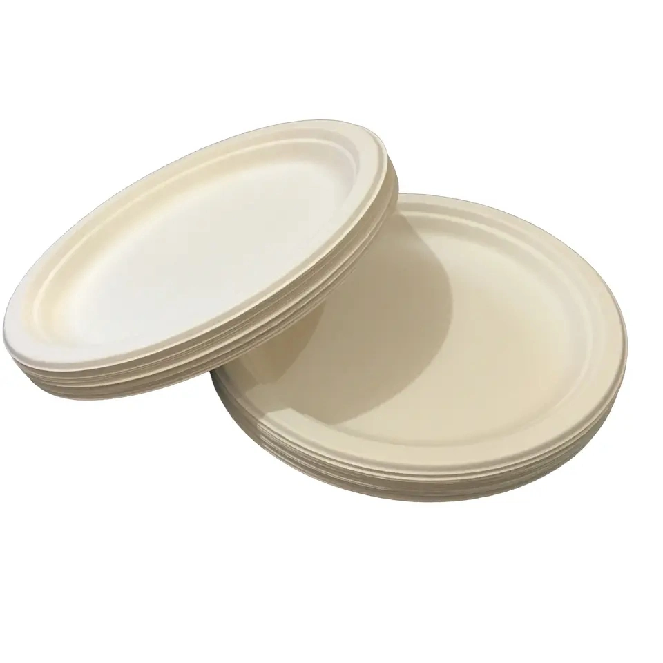 100% Degradable Disposable Bagasse Plate Sugarcane Tray for Food Packaging