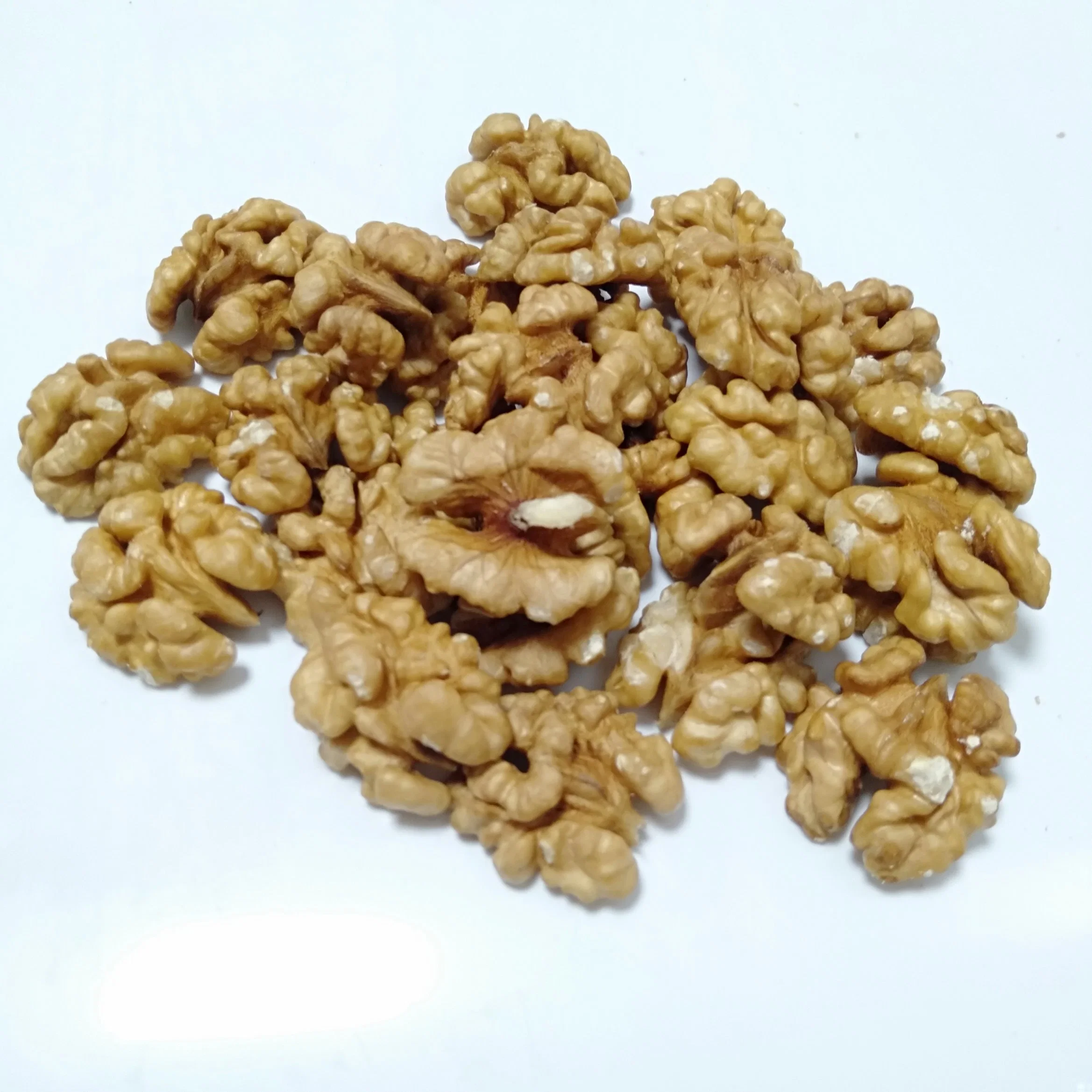 Bulk Price China Walnuts High quality/High cost performance  Dried Unshelled Walnut Kernels