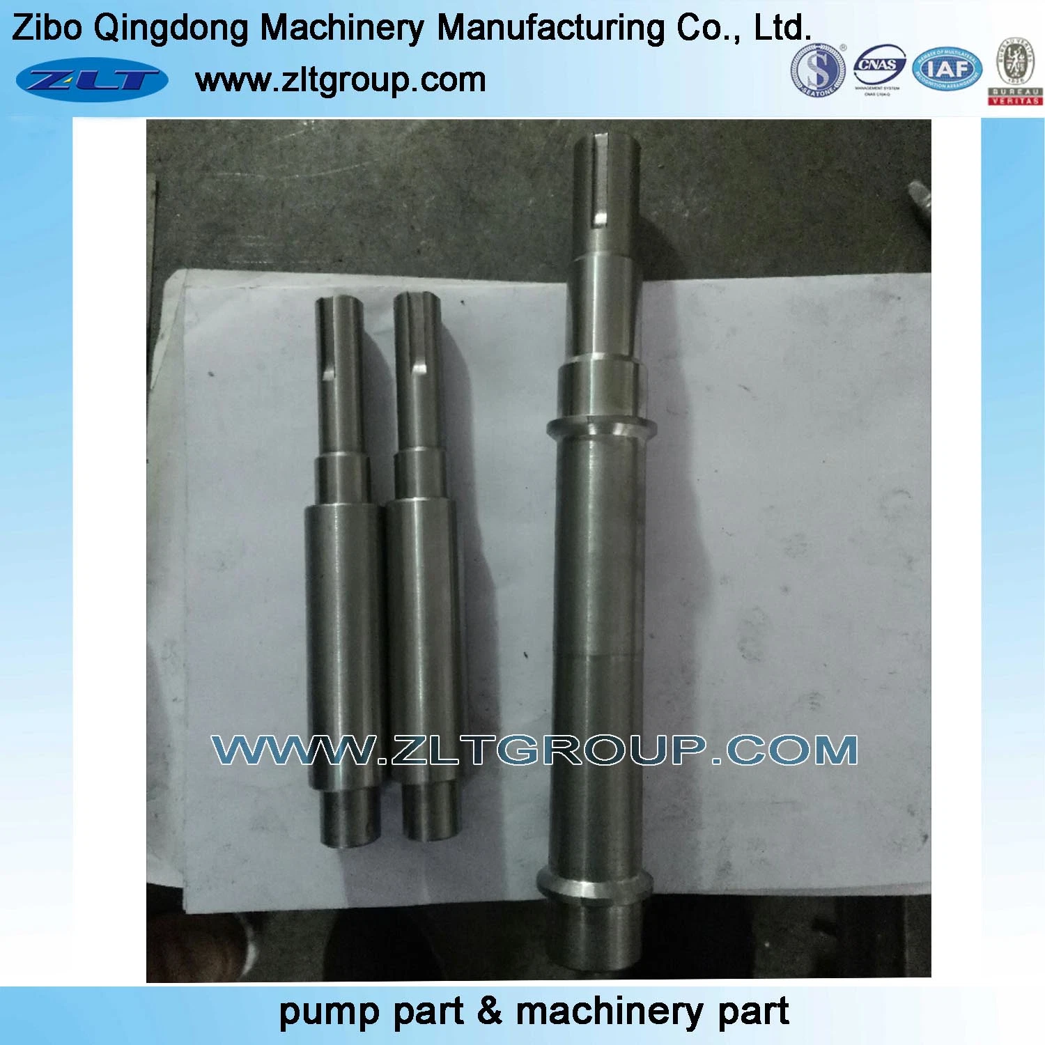 Customized OEM/ODM CNC Machining Shaft in Stainless Steel 316/CD4/304 Used in Machinery Industry