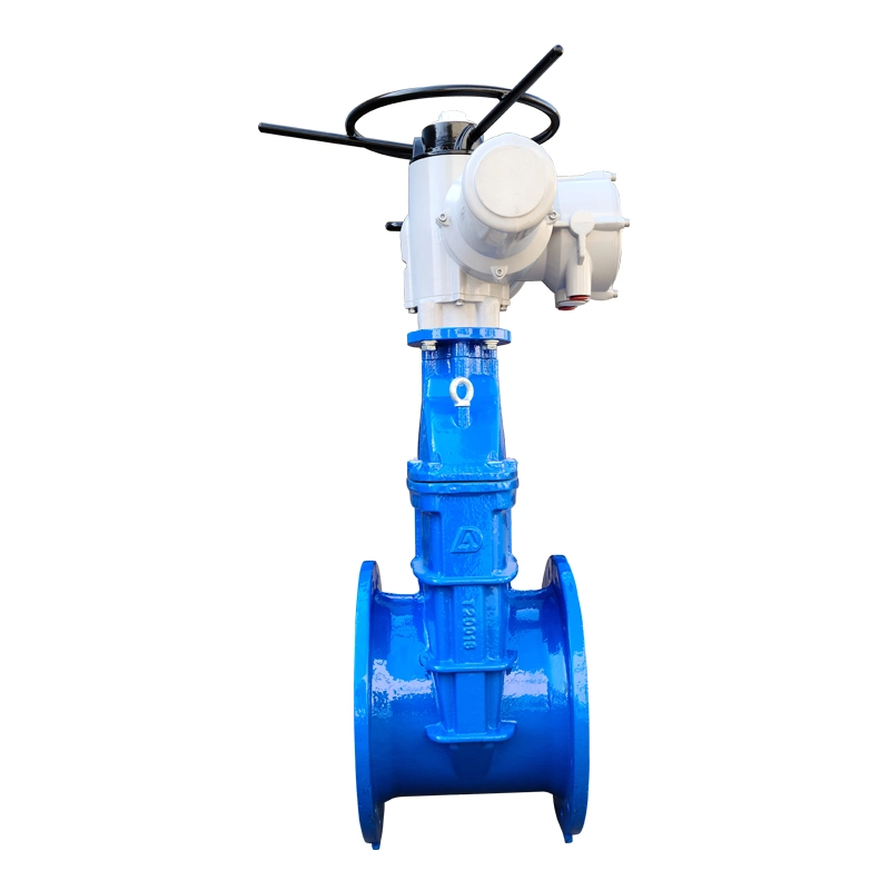 Cast Steel BS5163 Rising Stem BS En1092 En558-1 Electrical Actuatoe Gate Valve