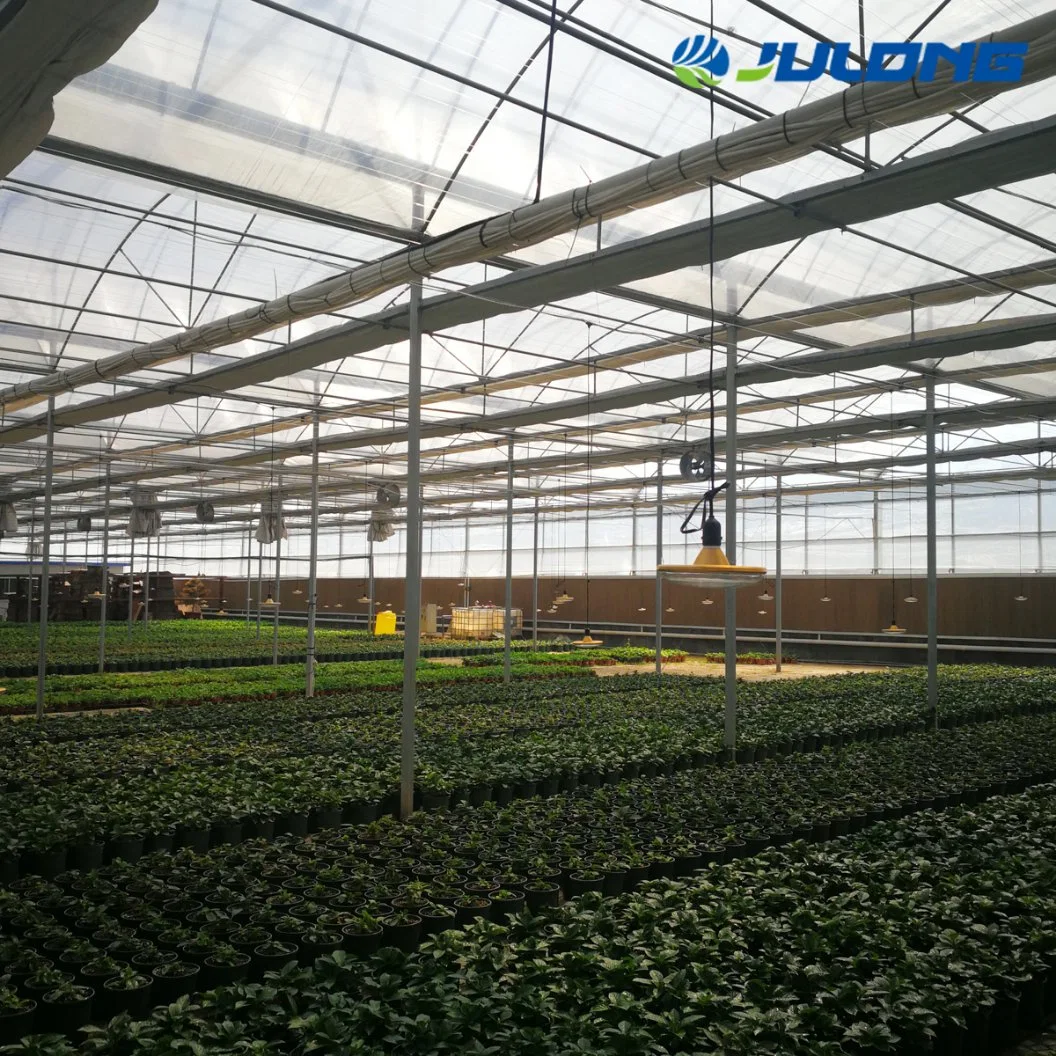 Hydroponics Plastic Po/PE Film Greenhouse Construction for Sale