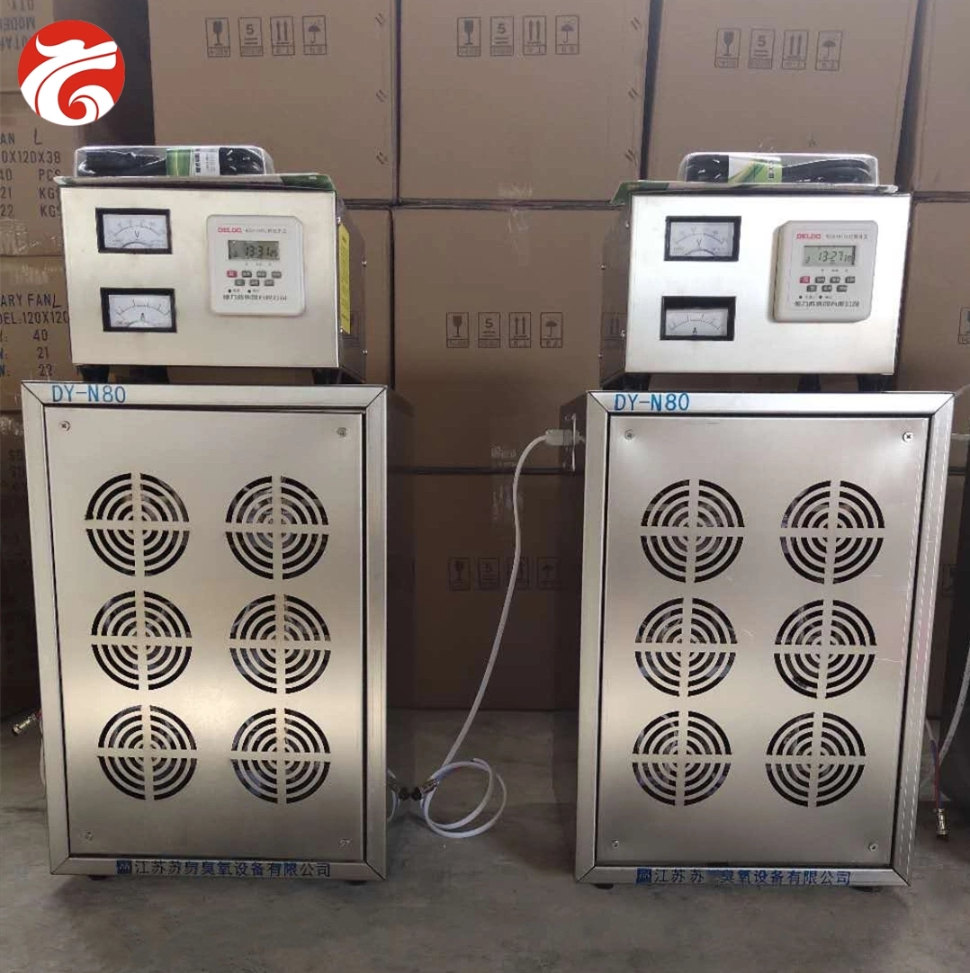 Top Quality Commercial Dy-N Built - in Type Hospital Factory Hote Office Sterilizer Ozone Generator