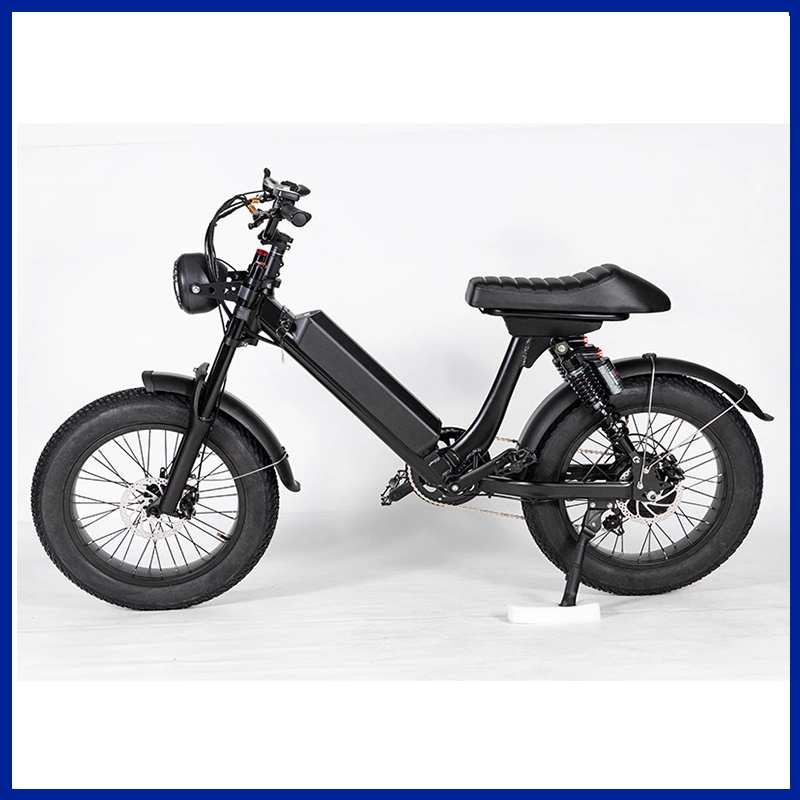 20 Inch Folding Fat Tire Ebike