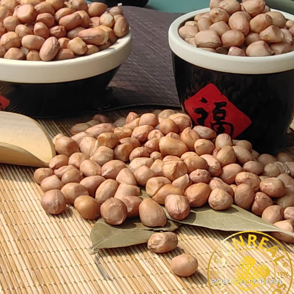 Roasted Peanut Kernels with Skin/Hsuji/Good After-Sale Service/Premium