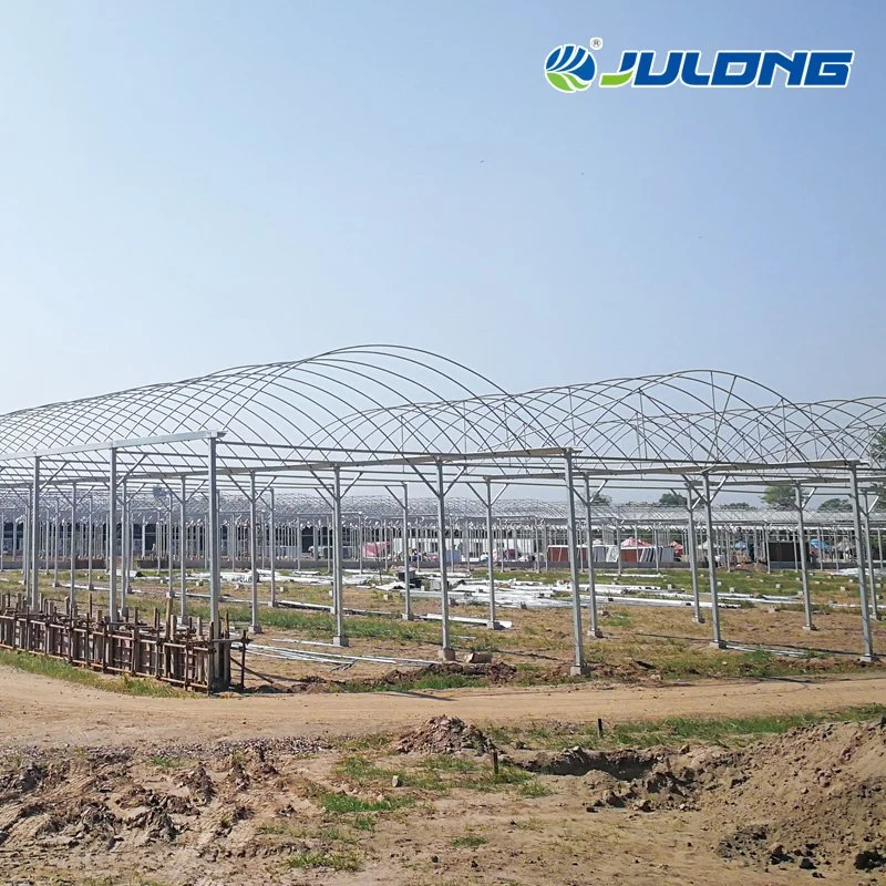 Agriculture Substantial Tunnel Galvanized Steel Cucumber Maxpower Greenhouse