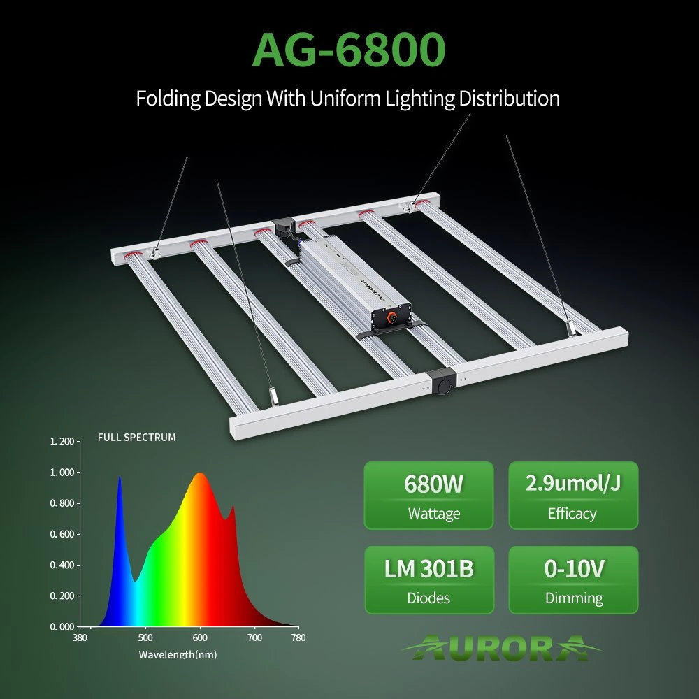 LED de gros grandir la lumière Samsung LM301b LM301h Osram Full Spectrum 720W 800W 1000W pour intérieur Accueil grandir