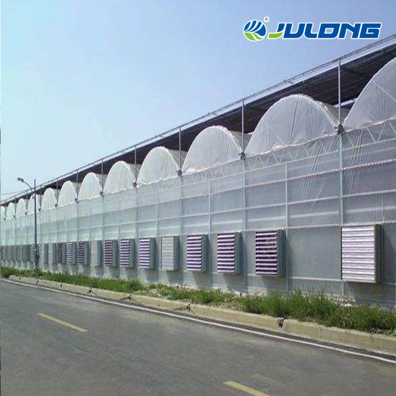 High Quality Large Scale Multi Span Plastic Film Greenhouse with Commercial Vegetables Flowers Fruits Hydroponic Growing Systems