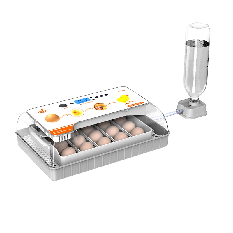 Hhd New Chicken Eggs Best Selling Automatic Egg Incubator Ew9-20