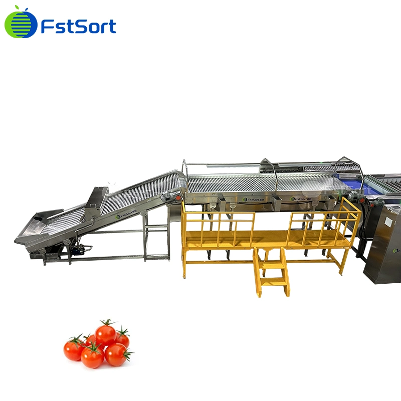 Cherry Tomatoes Grading Sorting Machine Adjustable Size Roller Classifier Cherry Tomatoes Processing Equipment