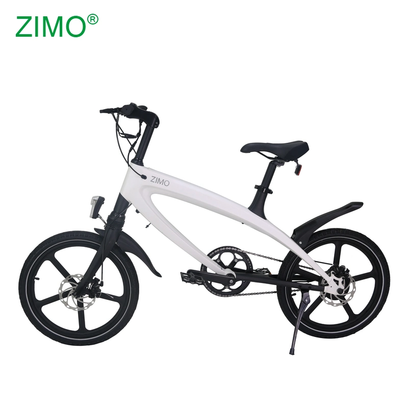 20Inch Fat Electric Moped Scooter Electric Dirt Bike E-Bike