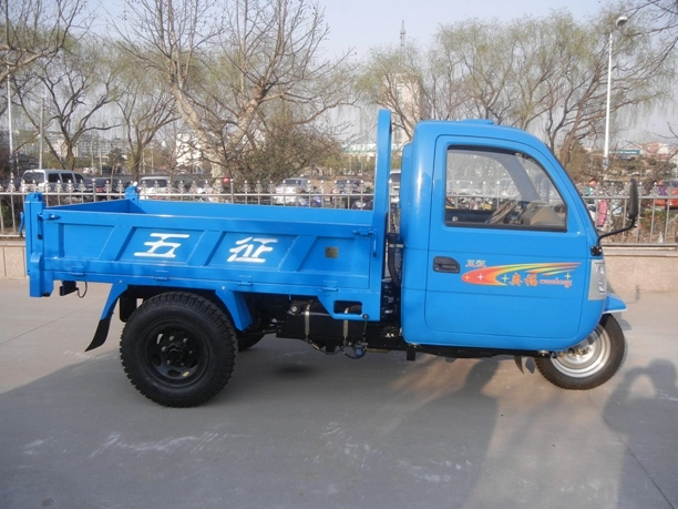 WUZHENG Closed Cargo Diesel Motorized 3-Wheel Tricycle with Cabin From China