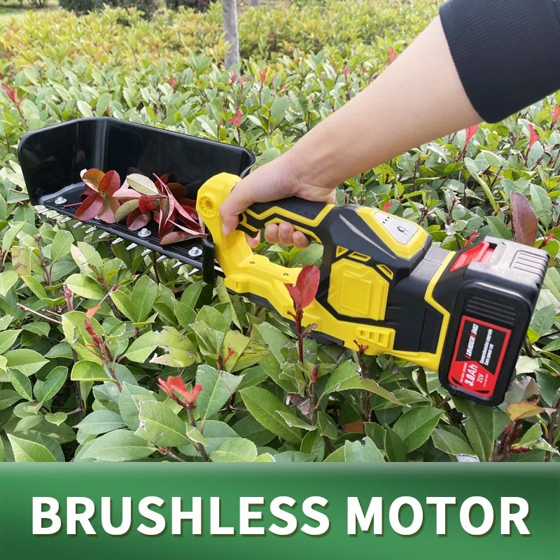 Auston Tee Kommissionierung Plucker Maschine Batterie Tee Harvester Mini Hedge Trimmer