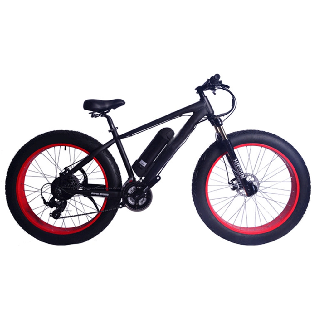 CE Certificate Cheap Carbon E Bike Electric Bike