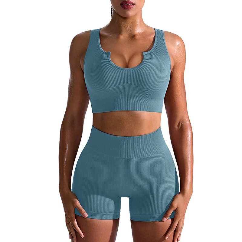 Seamless Workout Sets for Women Ribbed Sport Bra High Waist Running Shorts Gym 2 Piece Yoga Sets