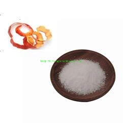 High Quality Apple Root Extract Phloridzin Phlorizin Malus Pumila Phloretin