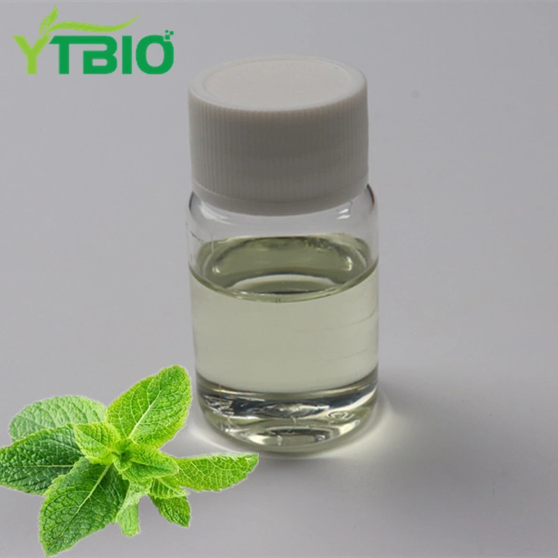 Pure Natural Raw Material Peppermint Hydrosol