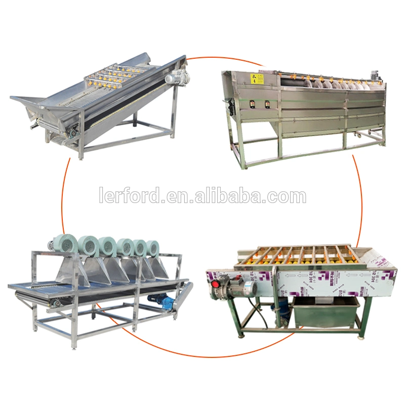 Industrial Vegetable Peeling Machine Watermelon Peeler Baby Carrot Cutting Washing Peeling Drying Production Line