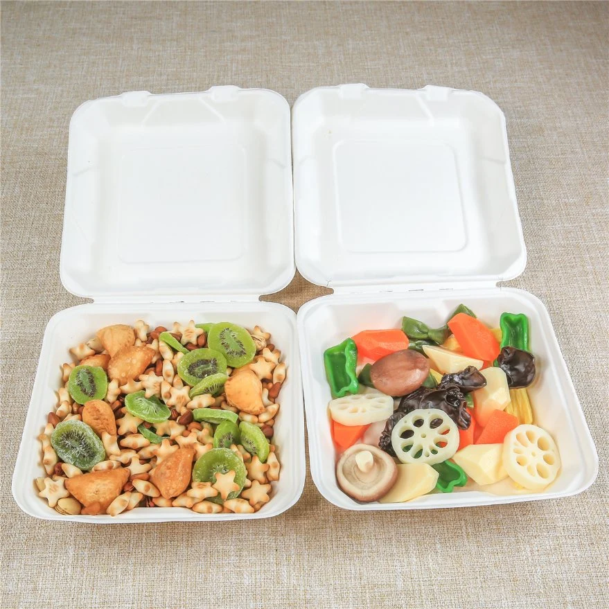 Biodegradable Tableware Food Container Wholesale/Supplier Cornstarch Surgarcane Bagasse Pulp Clamshell with Lid Takeaway Food Packaging