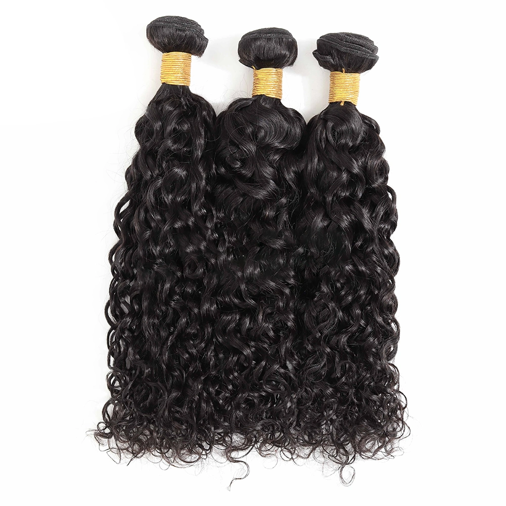 Venda por grosso de pêlos Brasileira Bundle Onda Água Peruca Hair tecem Virgem Fornecedores de cabelo