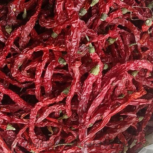 1cm Hot Red Chilli Cut Segment