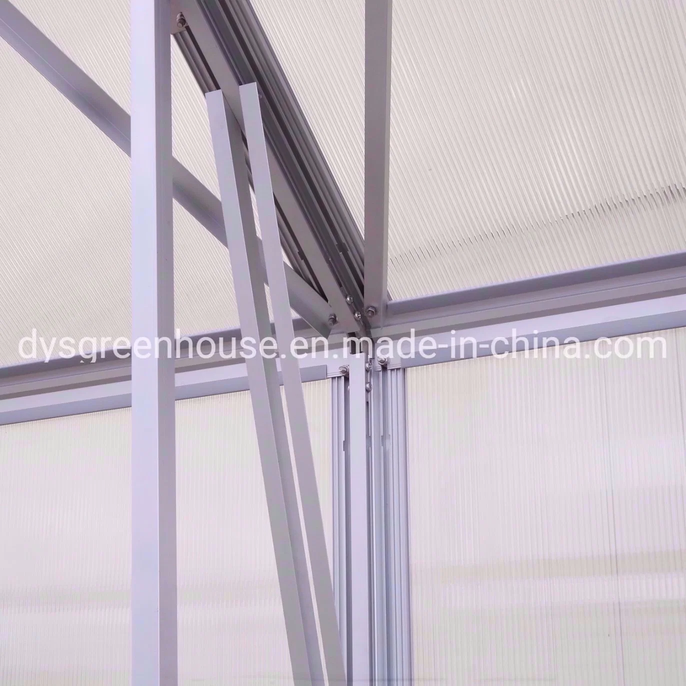 Modern Home Design Hobby Aluminium Polycarbonate Garden Greenhouses for Sale (RDGA0814-6mm)