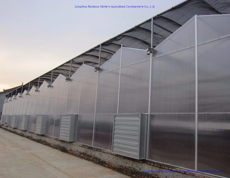 China Manufacturer of Venlo PC or Venlo Glass Greenhouse