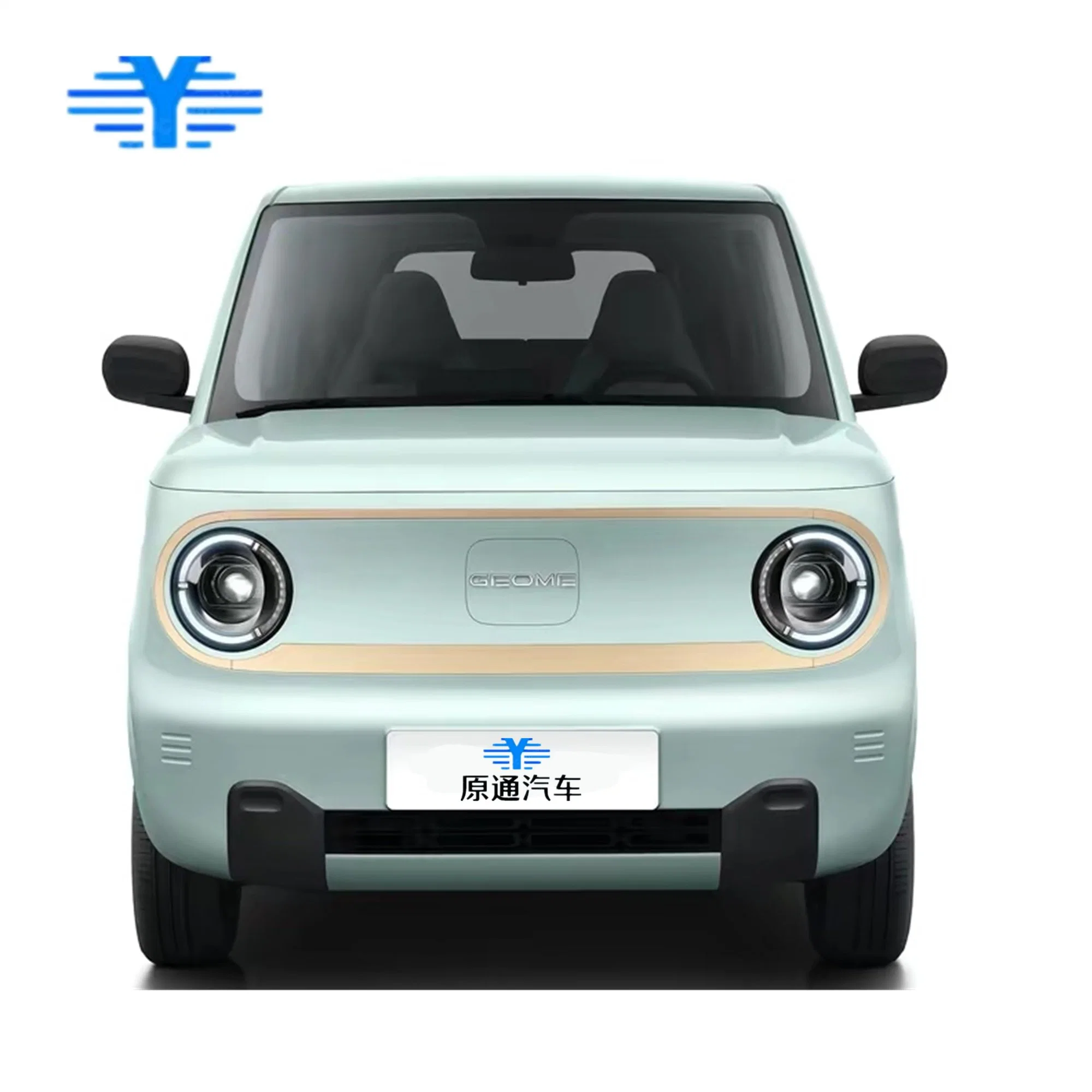 Chinese Manufactured Hot Selling Family Used Long Range Sport 0km Used EV Car Geely Panda Mini 2023 with Luxury Interior